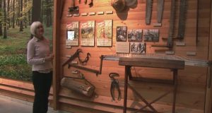 Brug dit buskort – Jagt- og skovbrugsmuseet i Hørsholm da1a1576397fe245214eda792379a998