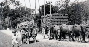 Dansk Vestindien (2) Dansk-Vestindien-2