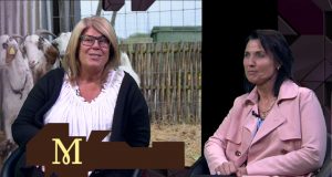 Mettes Mix (271) – JS Booking MH1806-Mettes-Mix-271_InternetMaster720p25