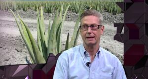 Mettes Mix – Jesper Hummeluhr MH2365-Mettes-Mix-344-H264-Afvikling