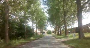 Insektmobilen, Frivillige hjælper forskere frivilligvideo-VID_20180615_134151-insektmobilen