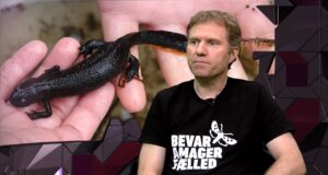 Mettes Mix – Steffen Rasmussen MH2694-Mettes-Mix-435.mp4