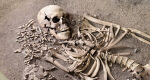 Kulturbrisen – Vedbækfundene vedbaekfundene_-_2023_v1-Original