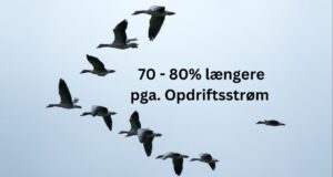 PepTak 77 – Skab synergi MH3444-PepTak-77-Skab-synergi-12.20min