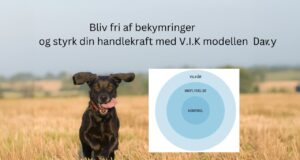 PepTak 78 – VIK-modellen MH3445-PepTak-78-VIK-modellen-07.40min