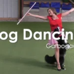 HTM og freestyle – Dog dancing