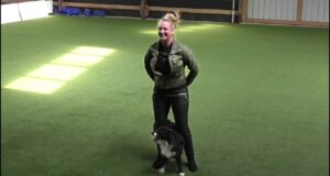 Dog Dancing på Garbogaard – HTM3 Dog-Dancing-paa-Garbogaard-HTM3