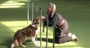 Dog Dancing på Garbogaard – FS3 Dog-Dancing-paa-Garbogaard-FS3